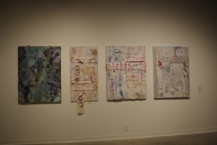 2013 bfa 007 703 800 600