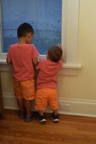 dsc 0092 1846 800 600