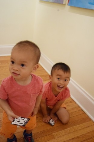 dsc 0106 1858 800 600